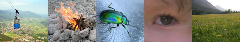 Wir helfen Ihnen durch professionelle Suchmaschinenoptimierung Ihre Website erfolgreich zu platzieren.